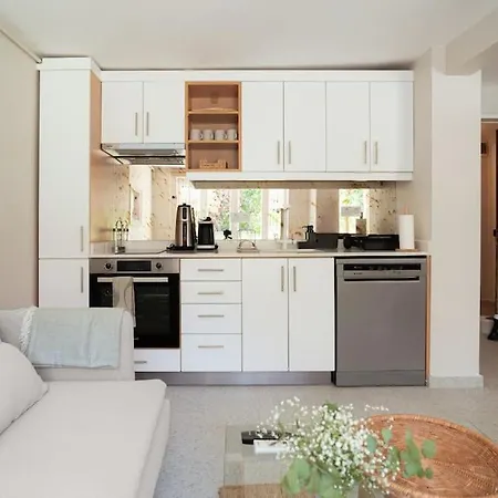 Apartman 2br Designed Flat In The Center Of Buyukada